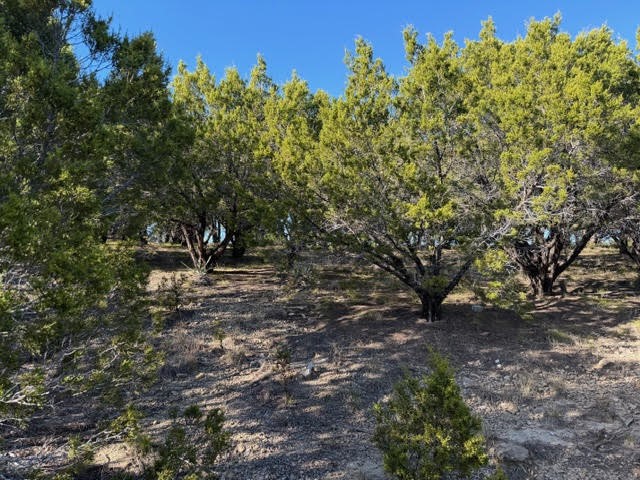 Lot 599 Caprock Court Possum Kingdom Lake TX 76449