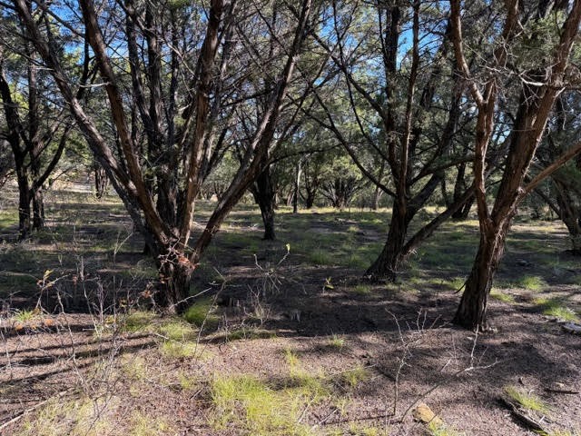 Lot 599 Caprock Court Possum Kingdom Lake TX 76449