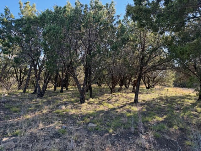 Lot 599 Caprock Court Possum Kingdom Lake TX 76449