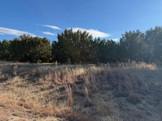 Lot 599 Caprock Court Possum Kingdom Lake TX 76449