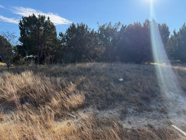 Lot 599 Caprock Court Possum Kingdom Lake TX 76449