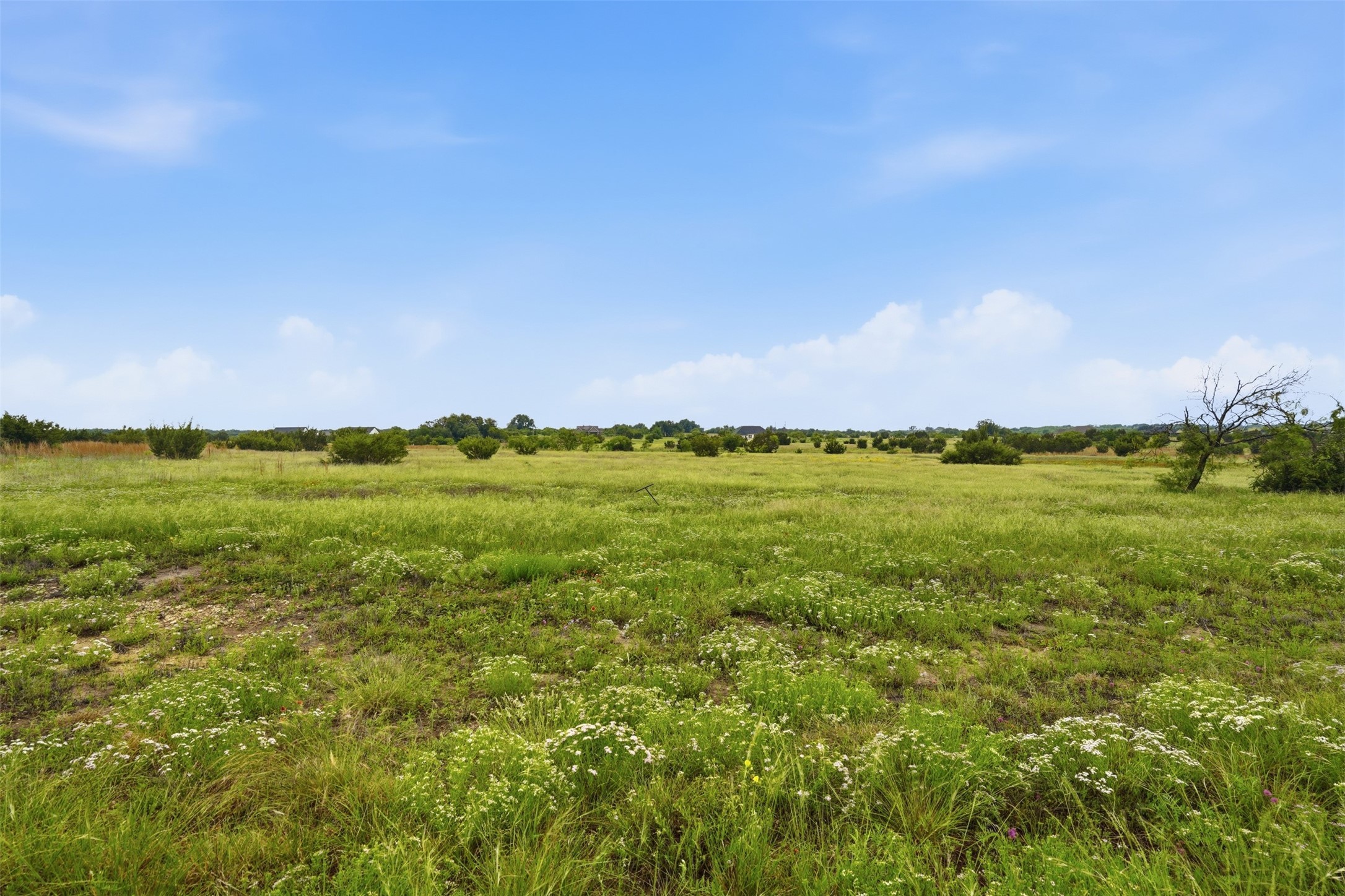 502 Hollow Drive Lipan TX 76048