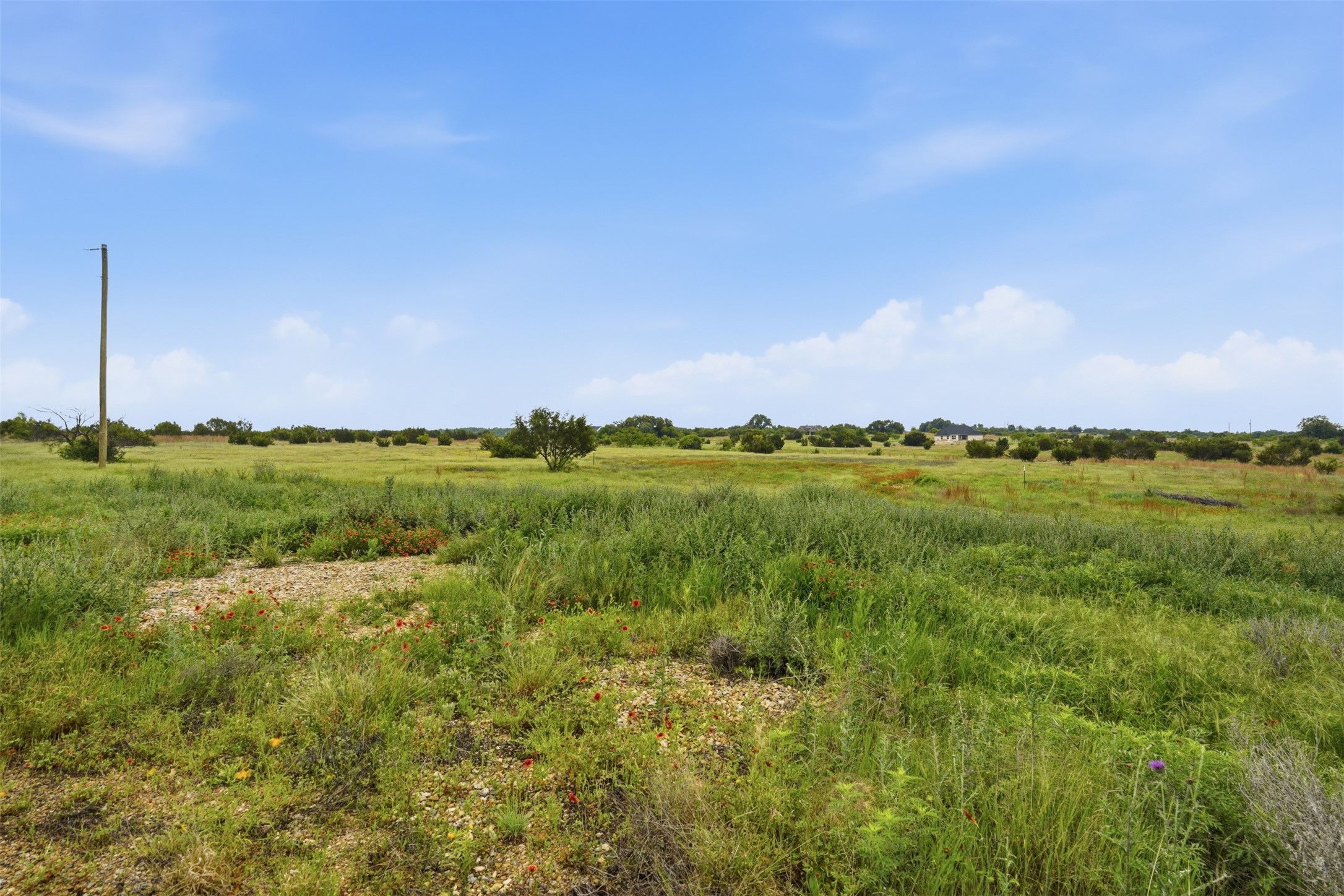 502 Hollow Drive Lipan TX 76048