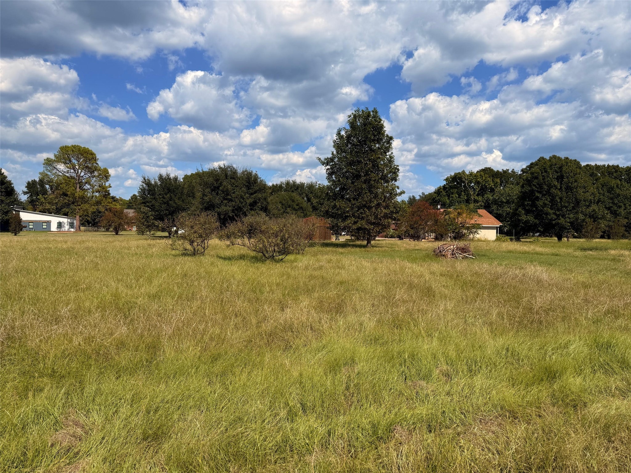 Tbd Diamond T Ranch Road Trinidad TX 75163