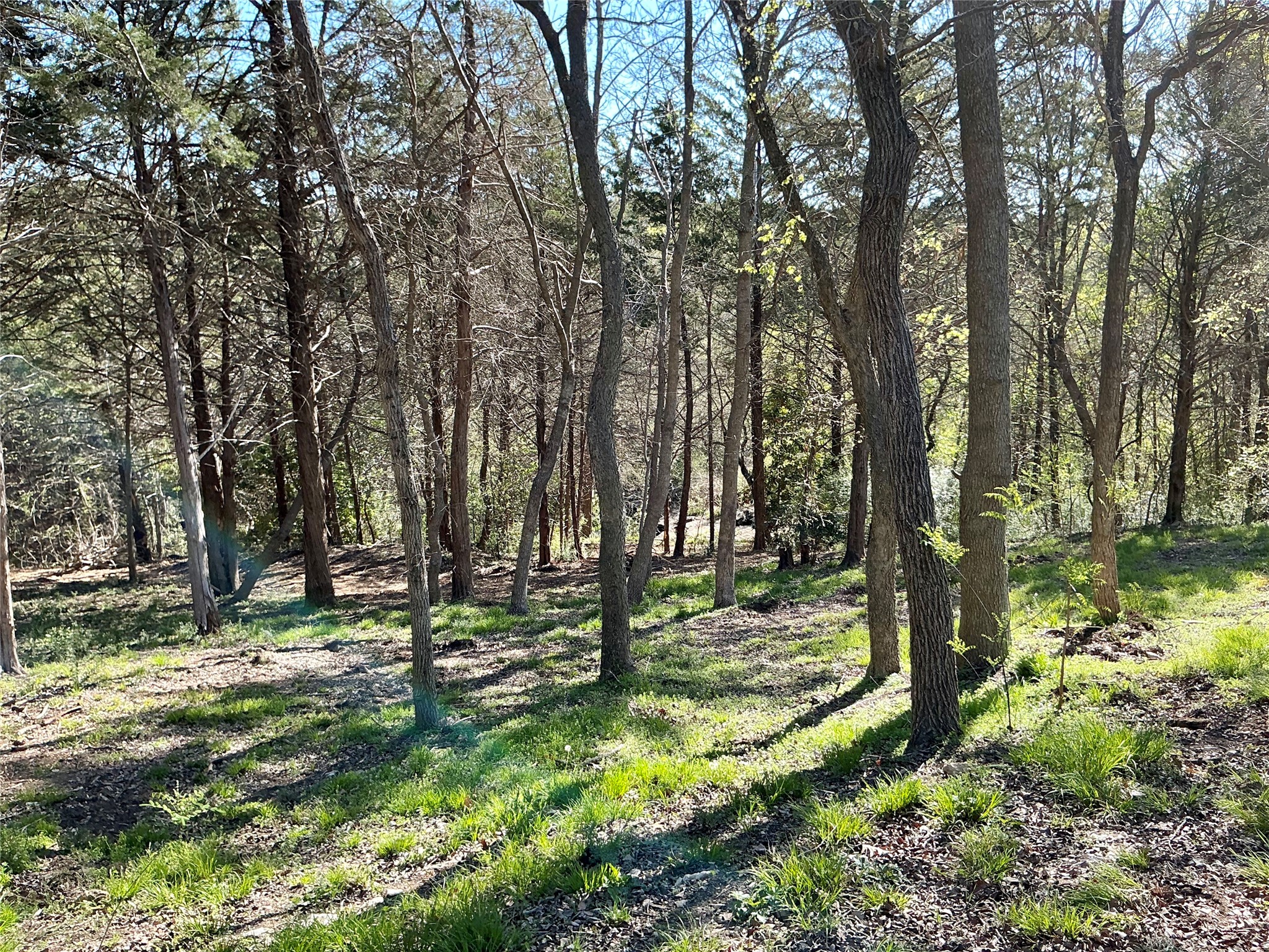 Tbd Quail Creek Circle Pottsboro TX 75076