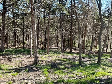 Tbd Quail Creek Circle Pottsboro TX 75076