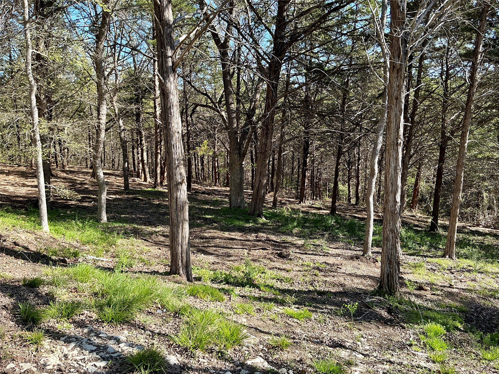 Tbd Quail Creek Circle Pottsboro TX 75076