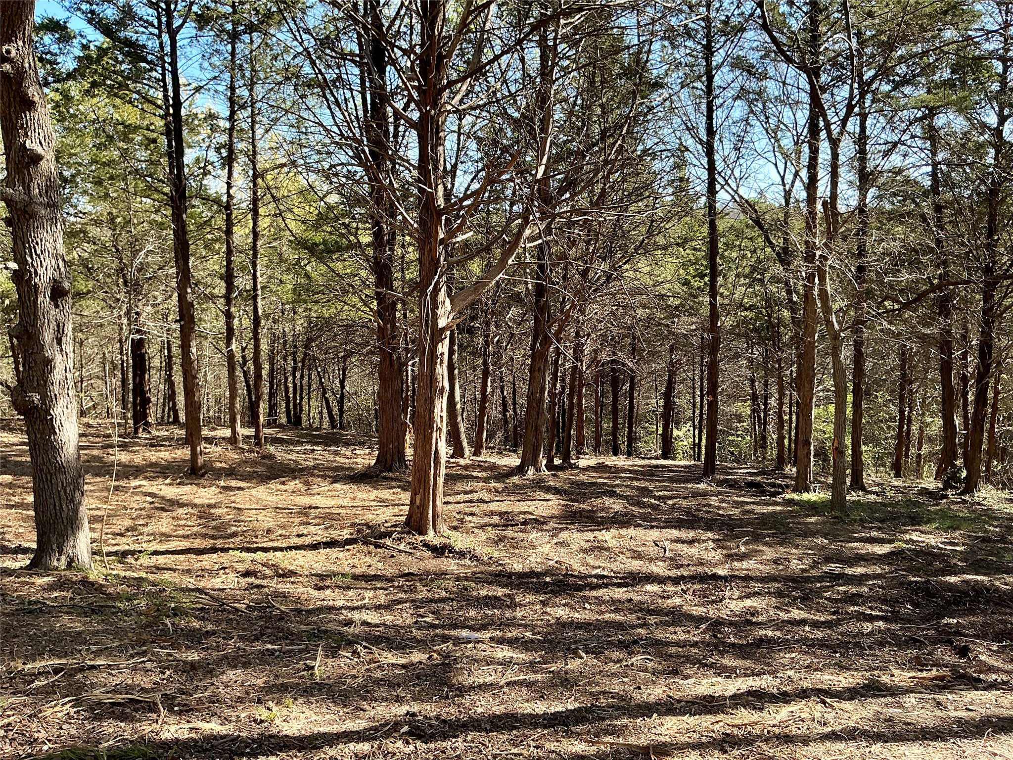 Tbd Quail Creek Circle Pottsboro TX 75076
