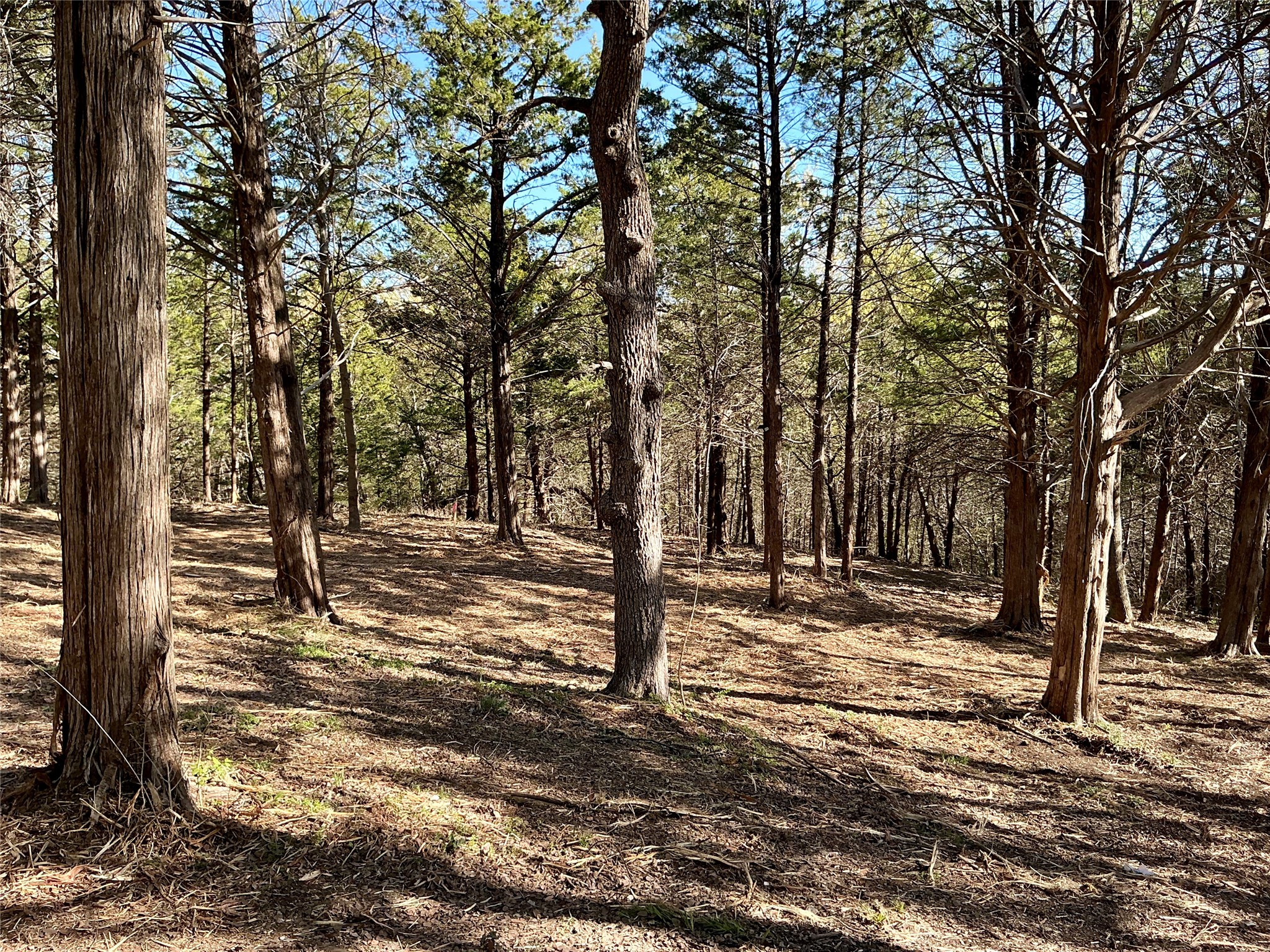 Tbd Quail Creek Circle Pottsboro TX 75076