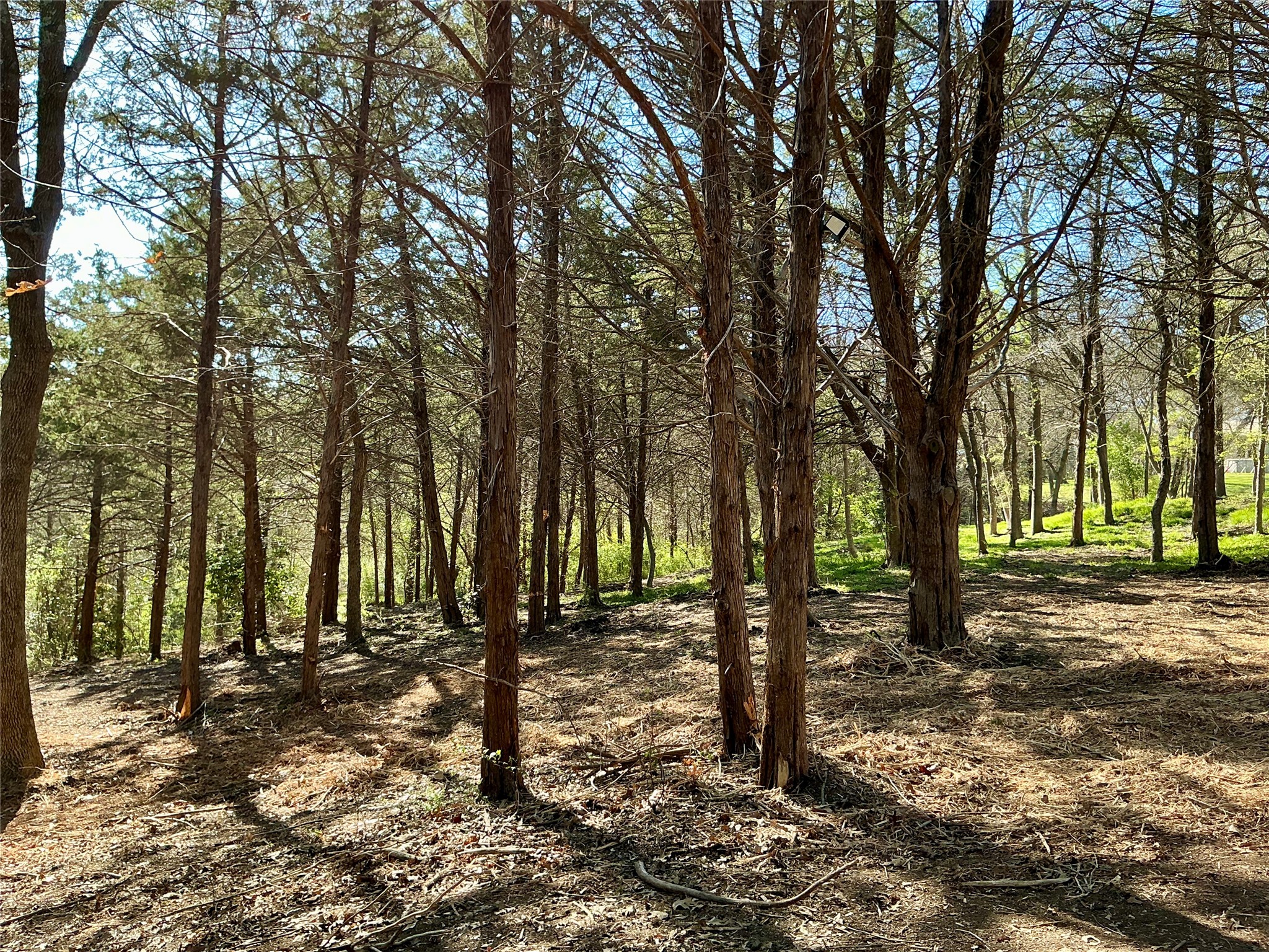 Tbd Quail Creek Circle Pottsboro TX 75076