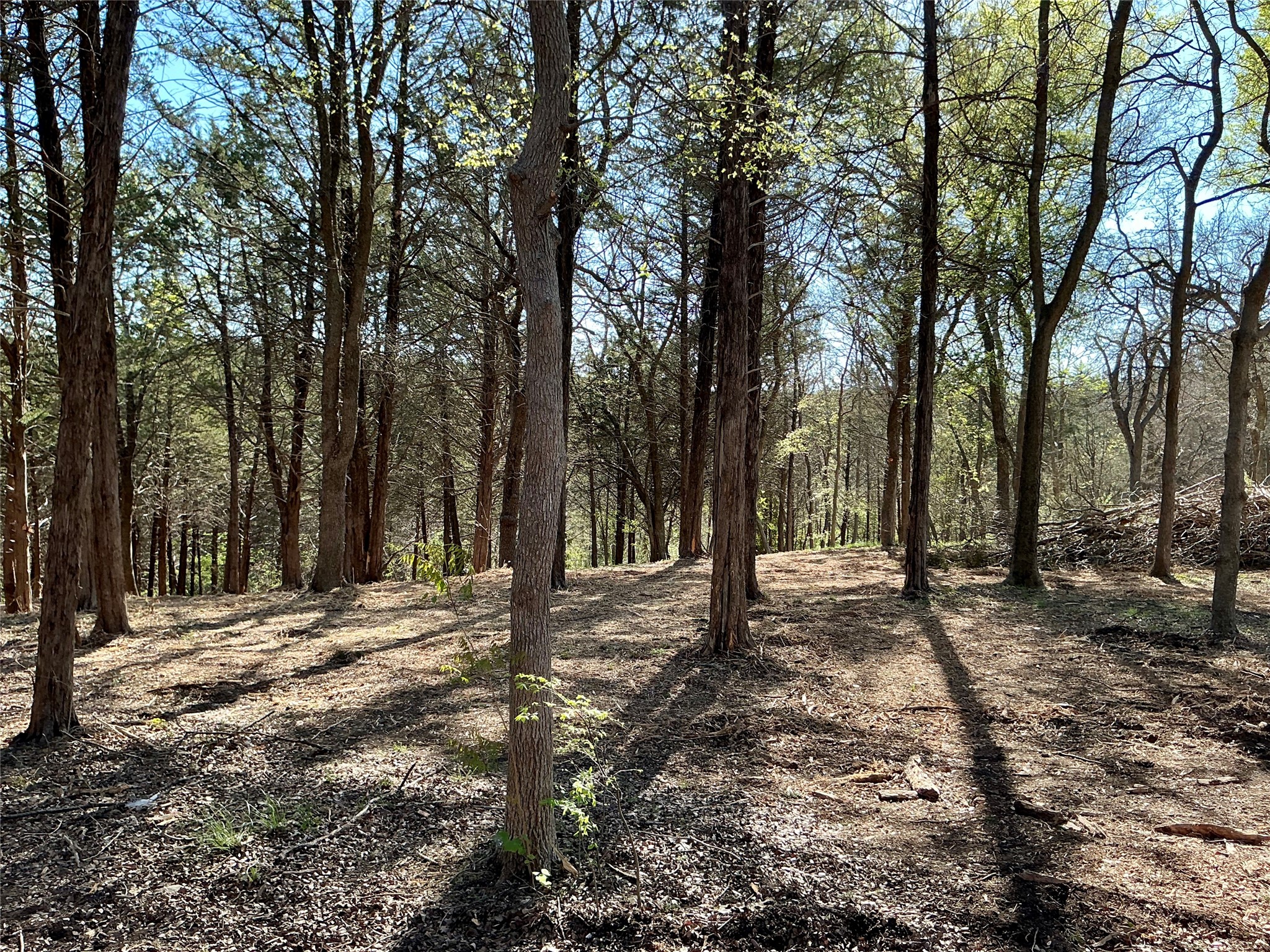 Tbd Quail Creek Circle Pottsboro TX 75076