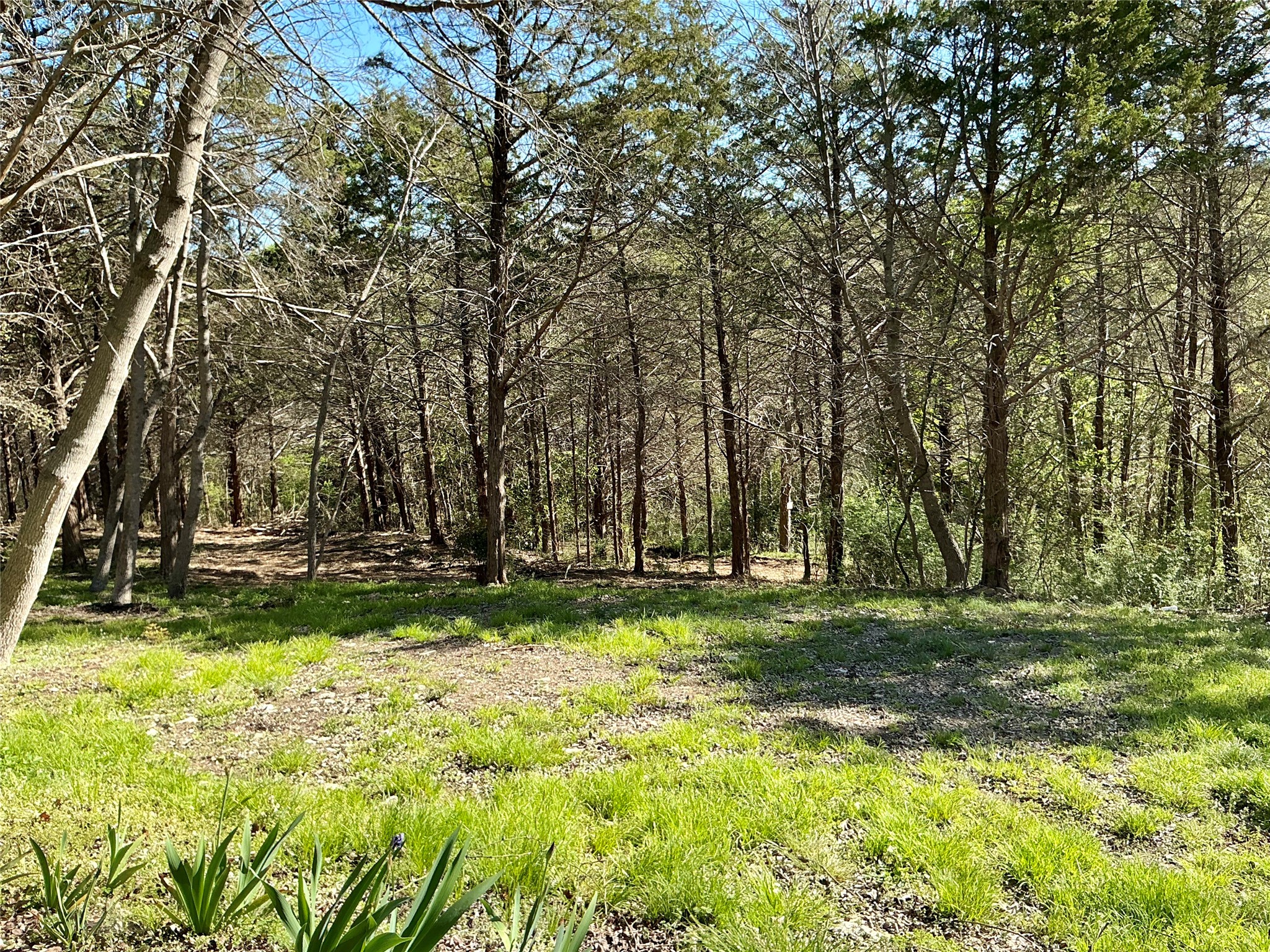 Tbd Quail Creek Circle Pottsboro TX 75076