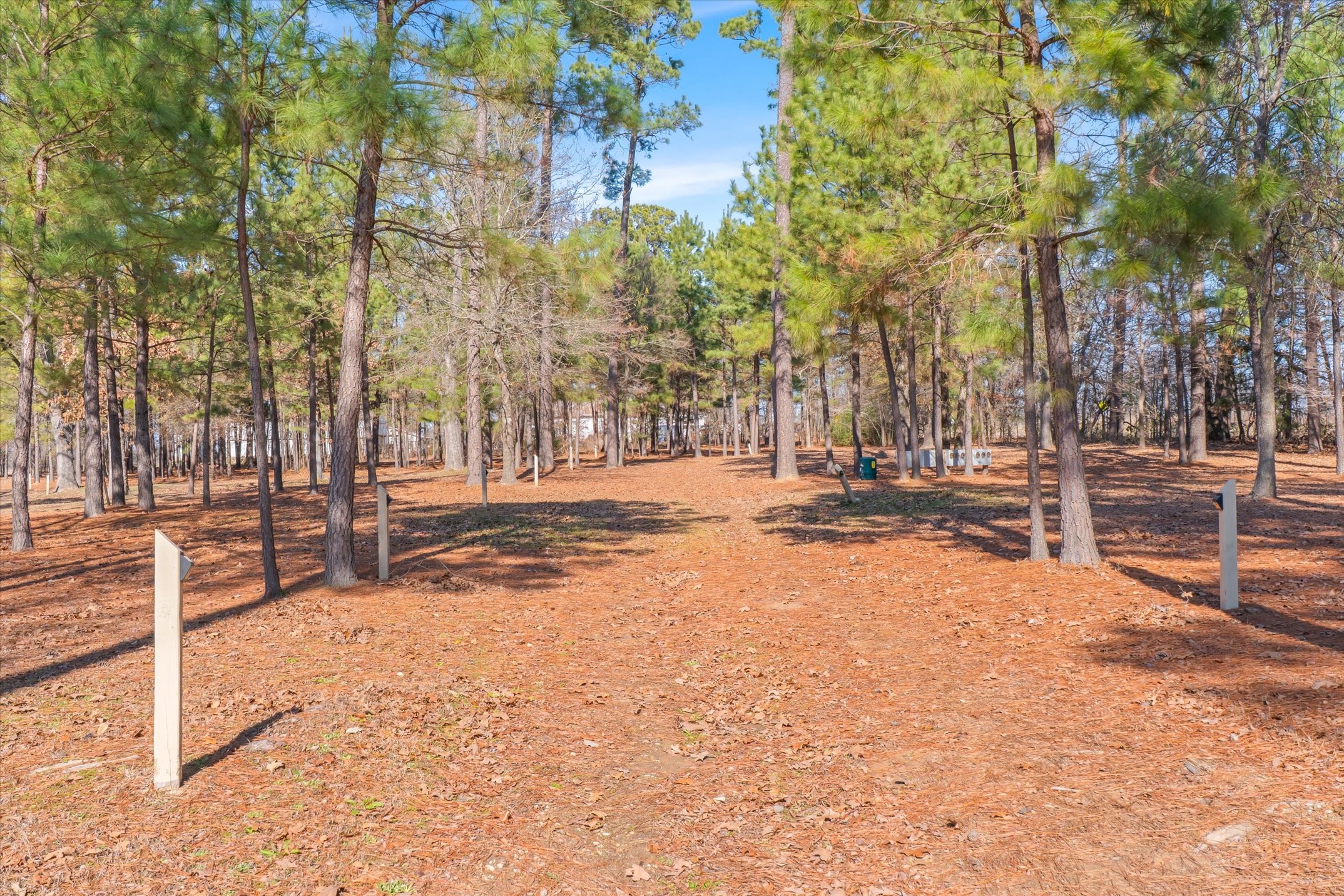 4776 Fm 17 Grand Saline TX 75140