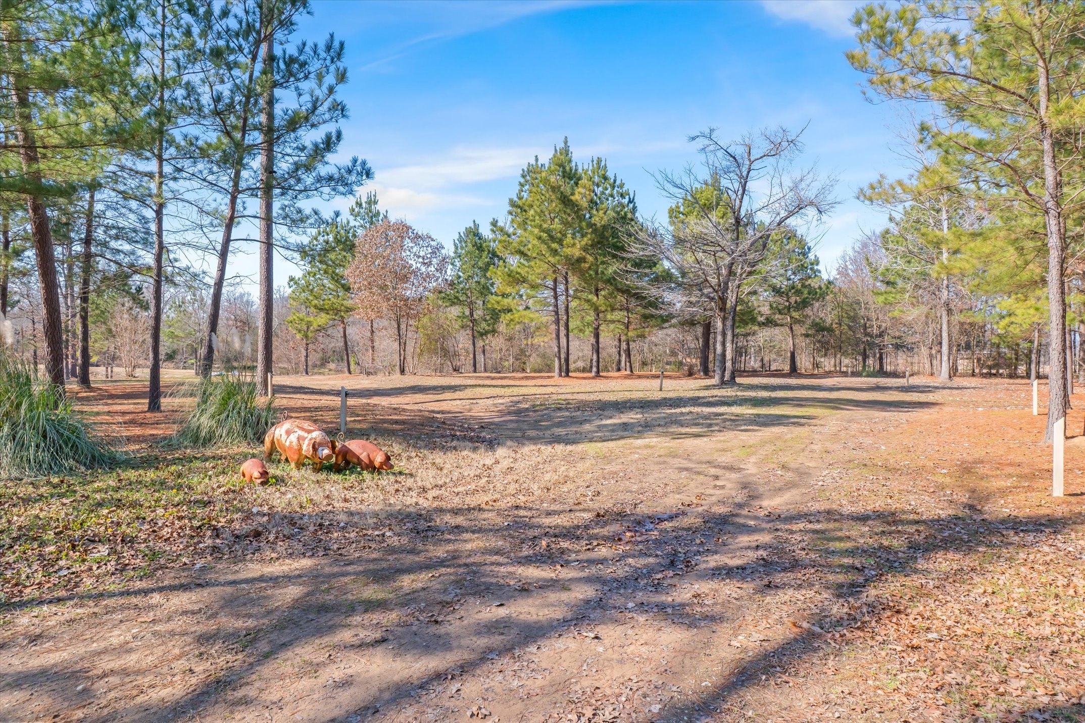 4776 Fm 17 Grand Saline TX 75140