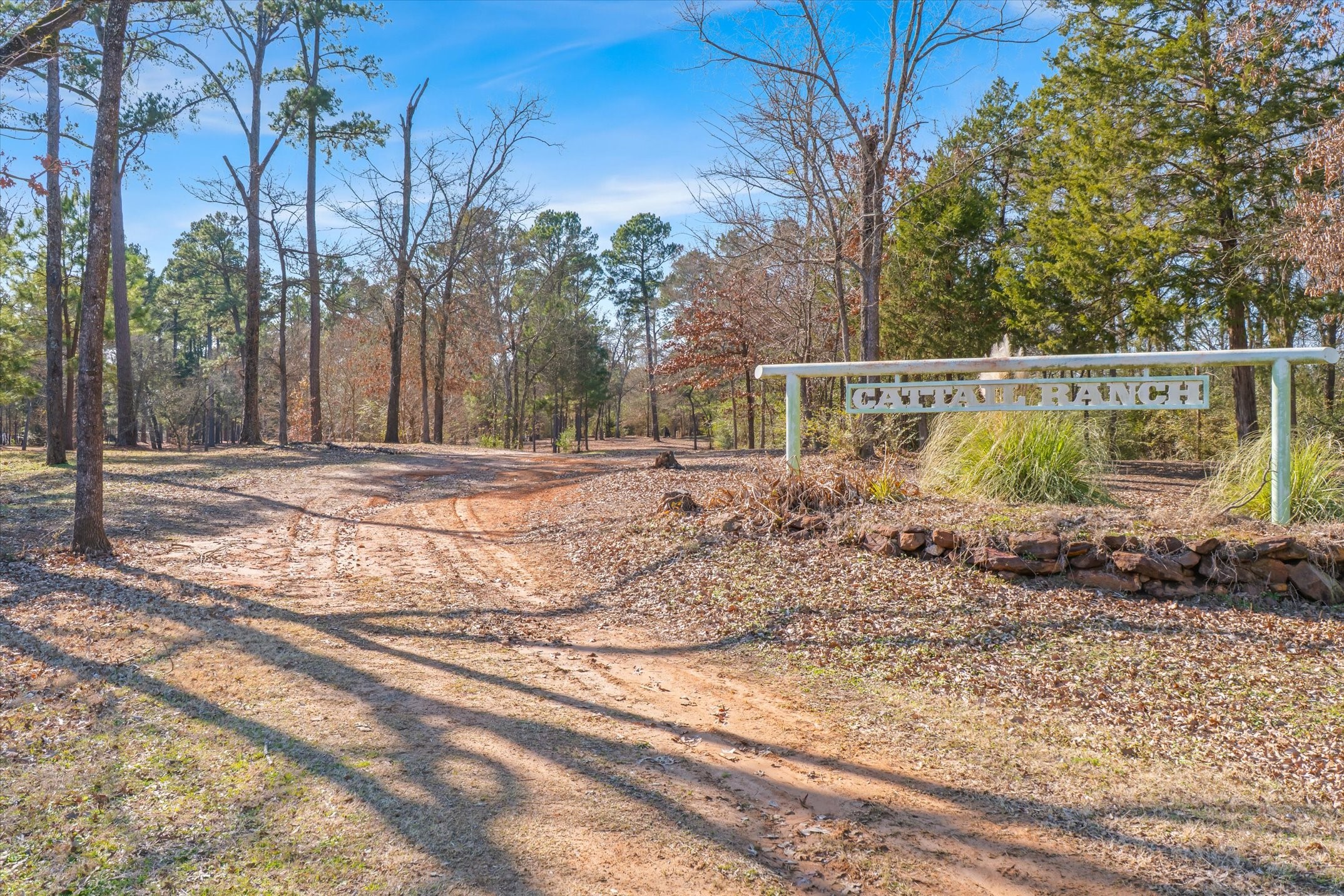 4776 Fm 17 Grand Saline TX 75140