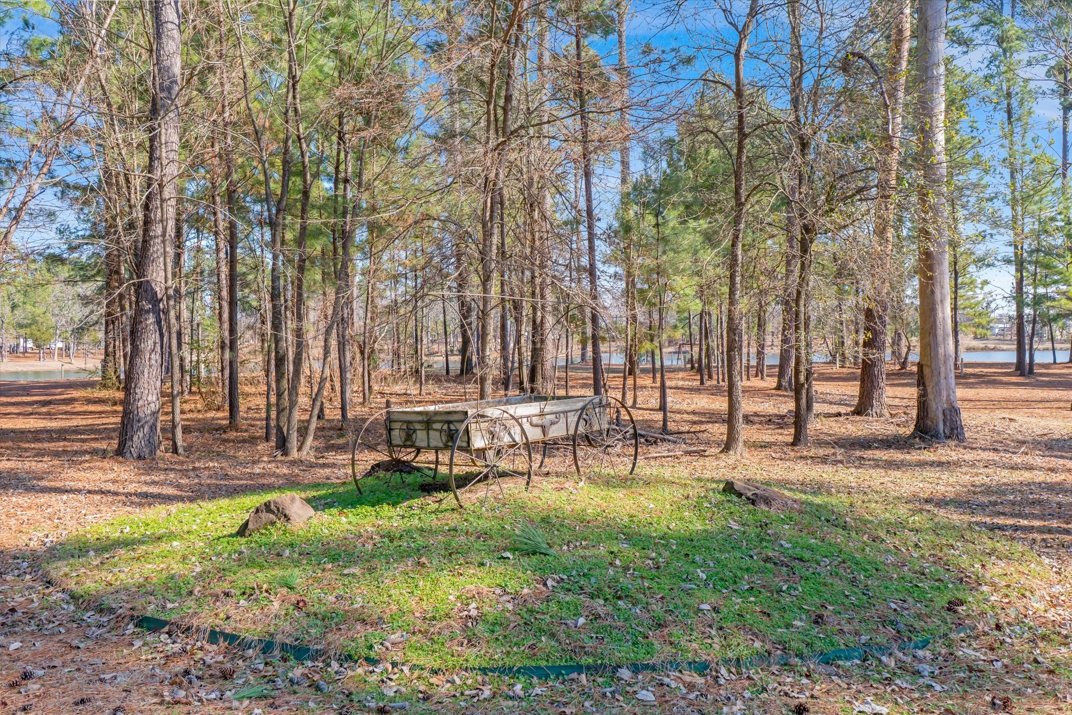 4776 Fm 17 Grand Saline TX 75140
