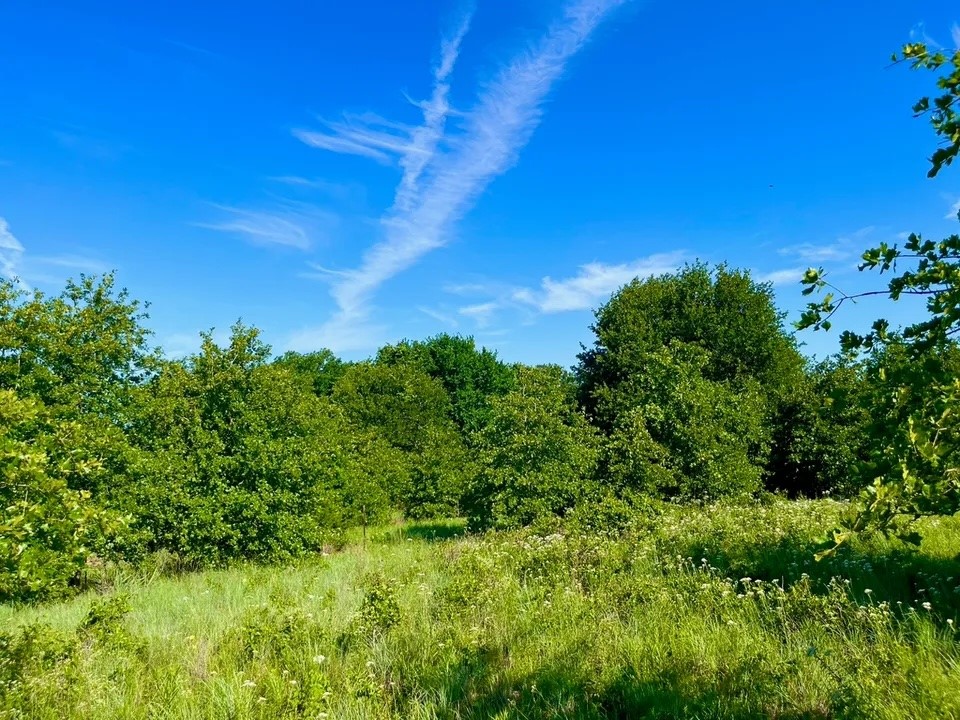 Lot 53 Wicklow Court Poolville TX 76487