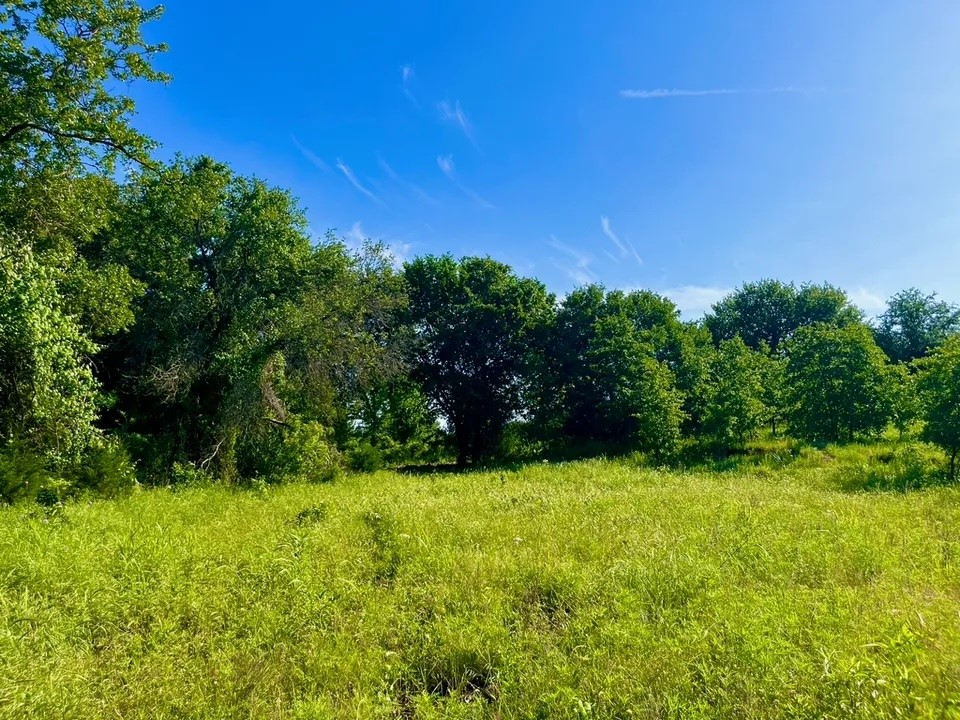 Lot 53 Wicklow Court Poolville TX 76487