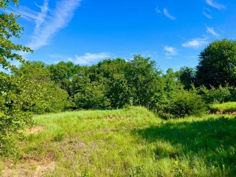 Lot 53 Wicklow Court Poolville TX 76487