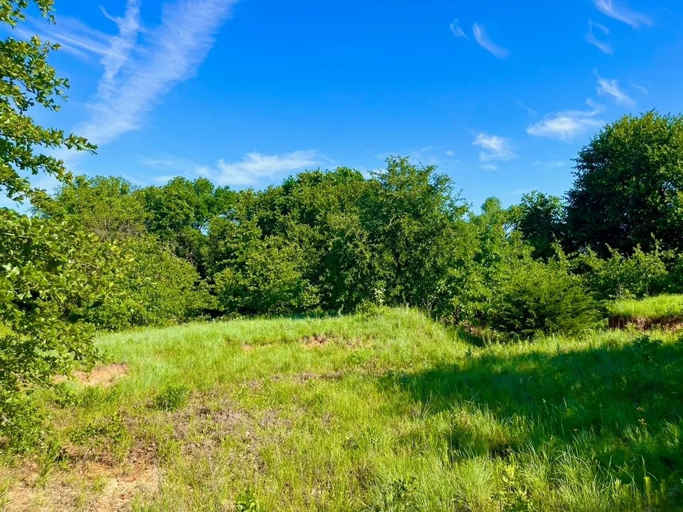 Lot 53 Wicklow Court Poolville TX 76487
