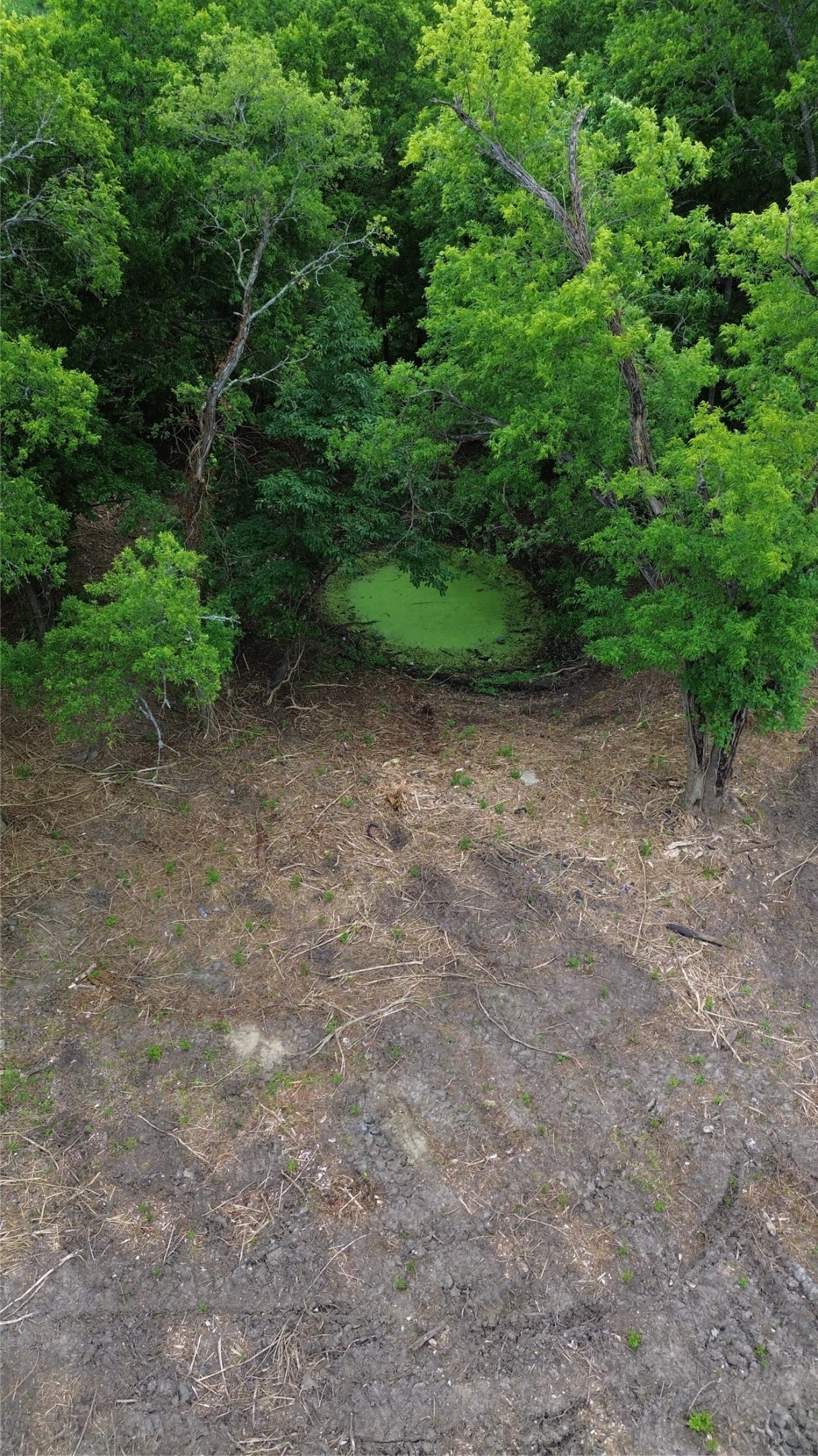 Tbd Eastman Ladonia TX 75449