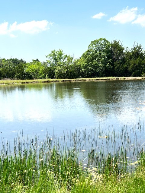 Tbd Cr 663 Farmersville TX 75442