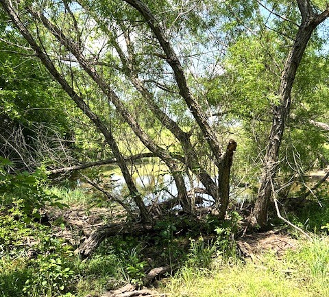 Tbd Cr 663 Farmersville TX 75442