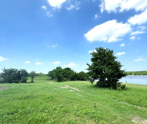 Tbd Cr 663 Farmersville TX 75442