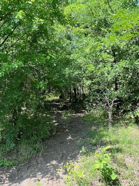 Tbd Cr 663 Farmersville TX 75442