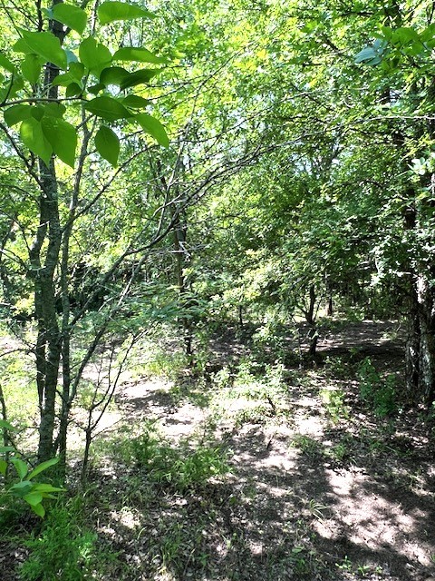 Tbd Cr 663 Farmersville TX 75442