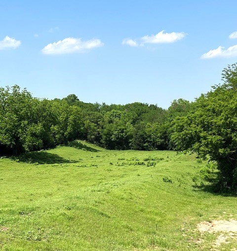 Tbd Cr 663 Farmersville TX 75442