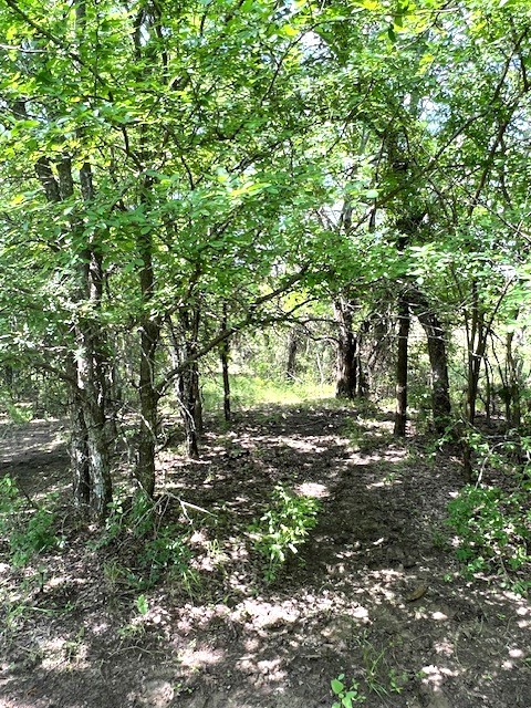 Tbd Cr 663 Farmersville TX 75442