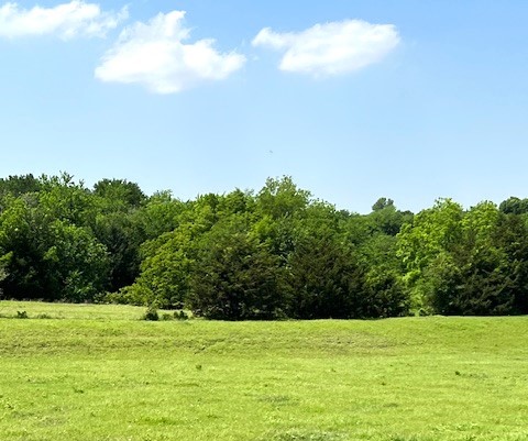 Tbd Cr 663 Farmersville TX 75442