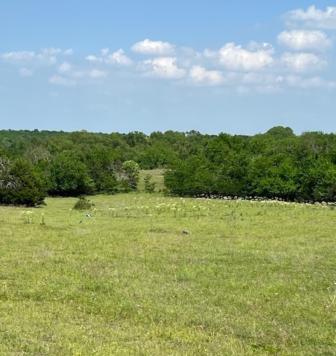 Tbd Cr 663 Farmersville TX 75442