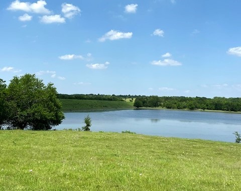 Tbd Cr 663 Farmersville TX 75442