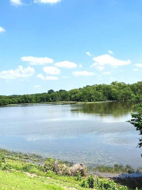 Tbd Cr 663 Farmersville TX 75442