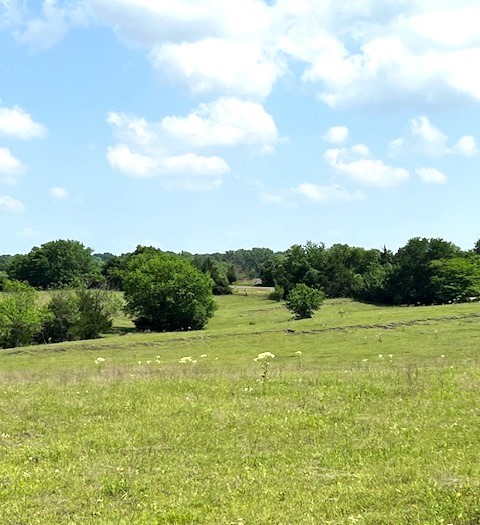 Tbd Cr 663 Farmersville TX 75442