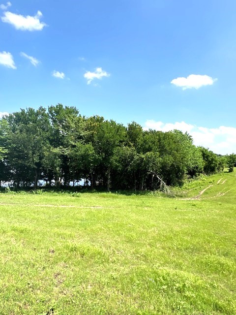 Tbd Cr 663 Farmersville TX 75442