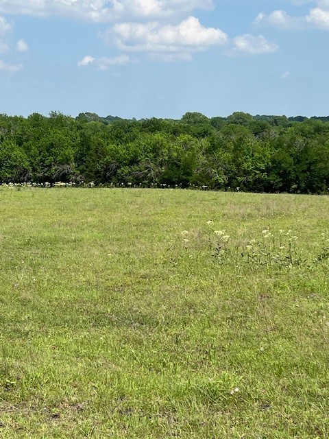 Tbd Cr 663 Farmersville TX 75442