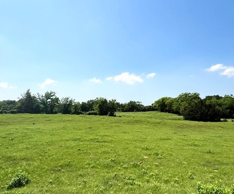 Tbd Cr 663 Farmersville TX 75442