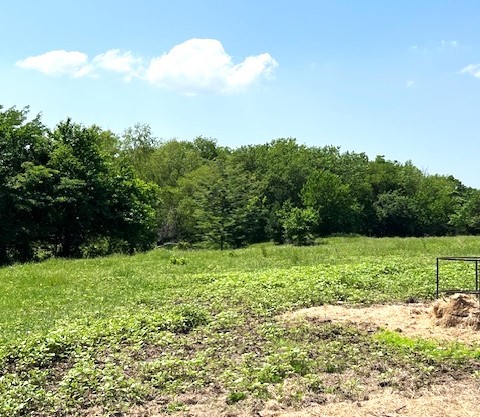 Tbd Cr 663 Farmersville TX 75442