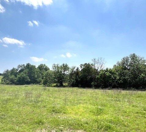 Tbd Cr 663 Farmersville TX 75442