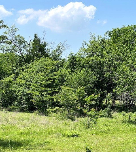 Tbd Cr 663 Farmersville TX 75442