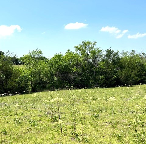 Tbd Cr 663 Farmersville TX 75442