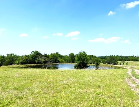 Tbd Cr 663 Farmersville TX 75442