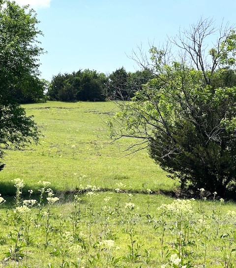 Tbd Cr 663 Farmersville TX 75442