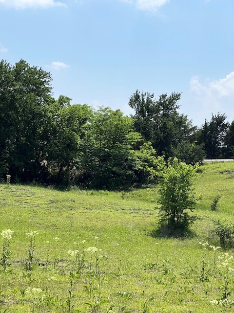 Tbd Cr 663 Farmersville TX 75442
