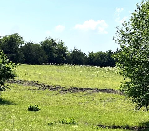 Tbd Cr 663 Farmersville TX 75442