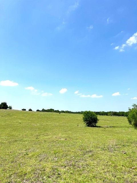 Tbd Cr 663 Farmersville TX 75442