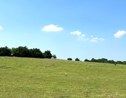 Tbd Cr 663 Farmersville TX 75442